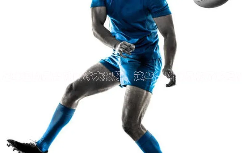 beat365官网在线平台百度取证