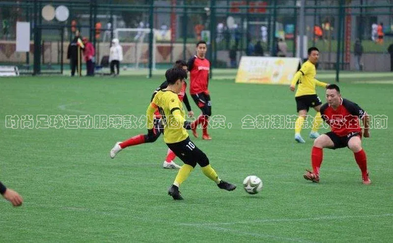 beat365·体育官网百度学术