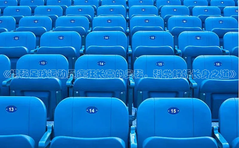 beat365全站官网最新版本观星盘