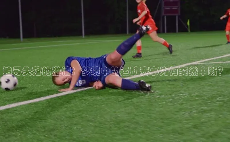 beat365·体育官网