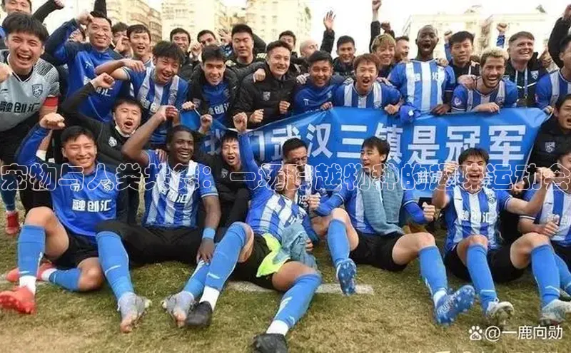 bet·365官网登录入口